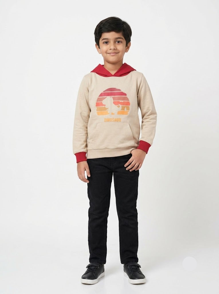 Boy's loop knit hoodie - red dino