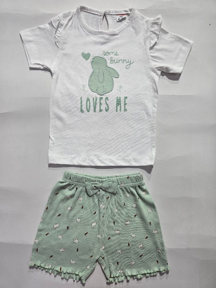 Baby's shorts set - green bunny