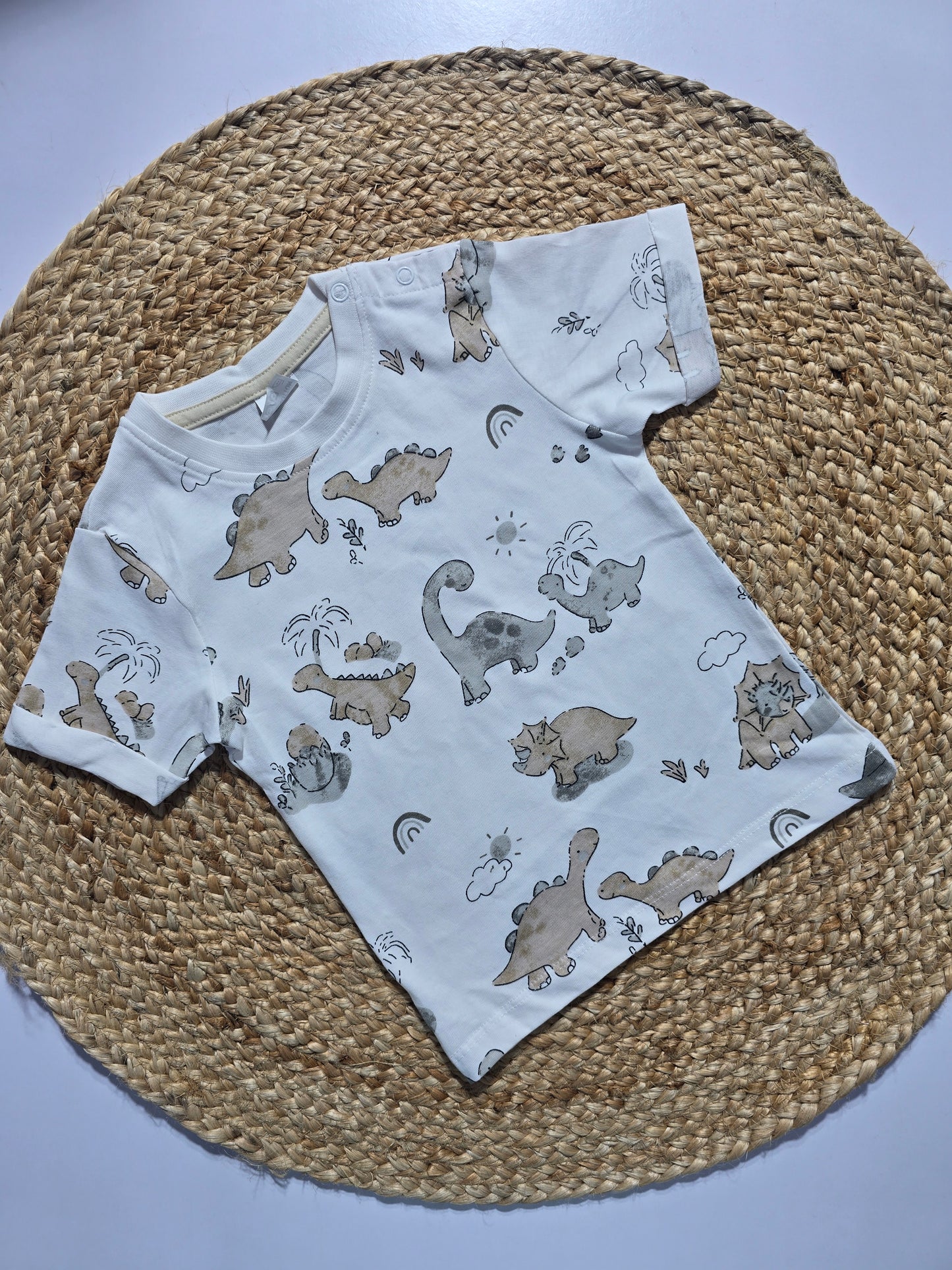 Baby's t-shirt - w/br/dino