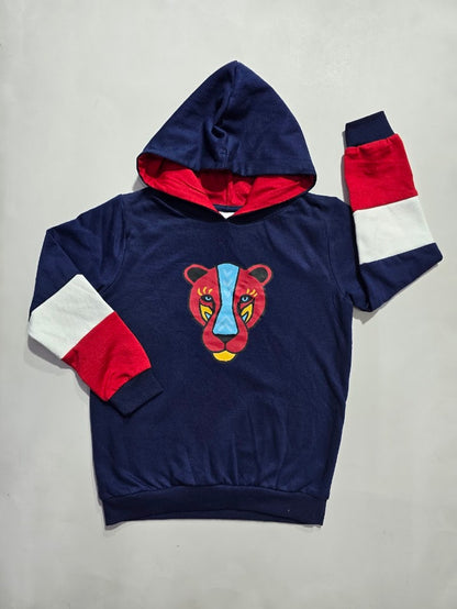 Boy's winter special hoodie