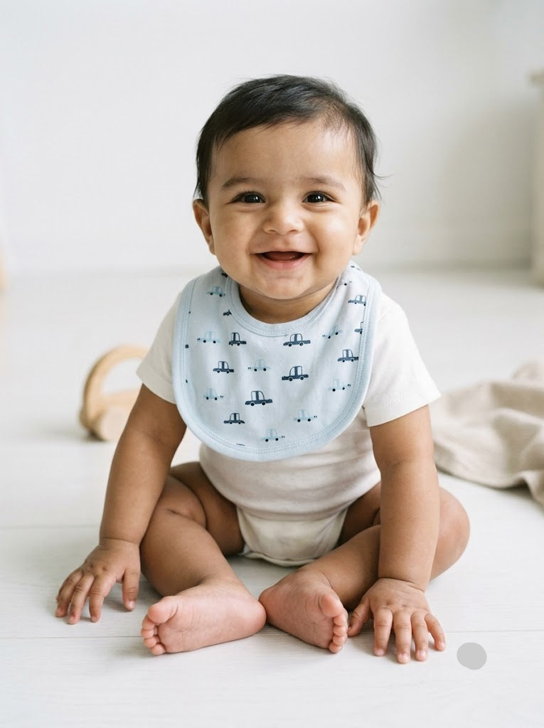 Baby's bibs - blue cars