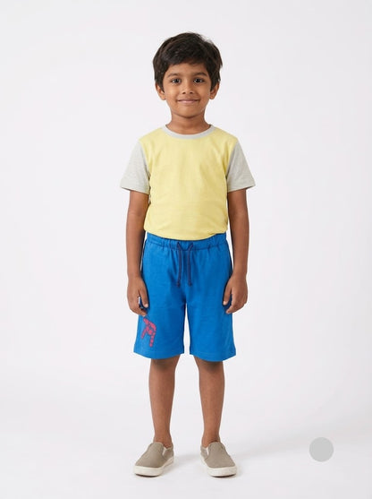 Boy's shorts - web hand