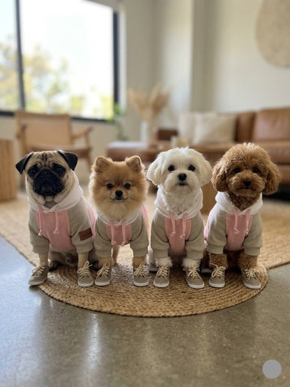 Hoodie for Dogs - cut and shoea