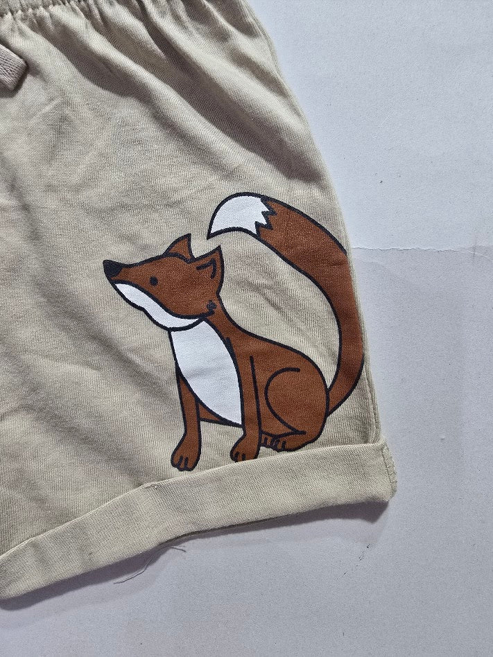 Baby's shorts set - fox rakoon