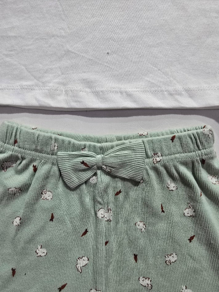 Baby's shorts set - green bunny