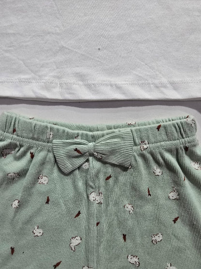 Baby's shorts set - green bunny