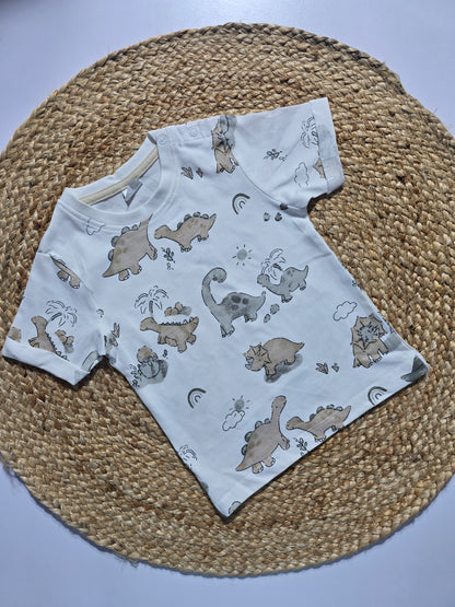 Baby's t-shirt - w/br/dino