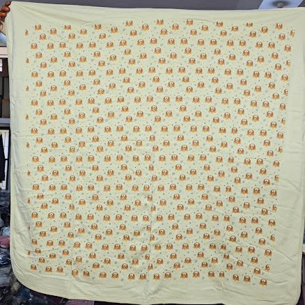 Baby's two layer blanket –  bears