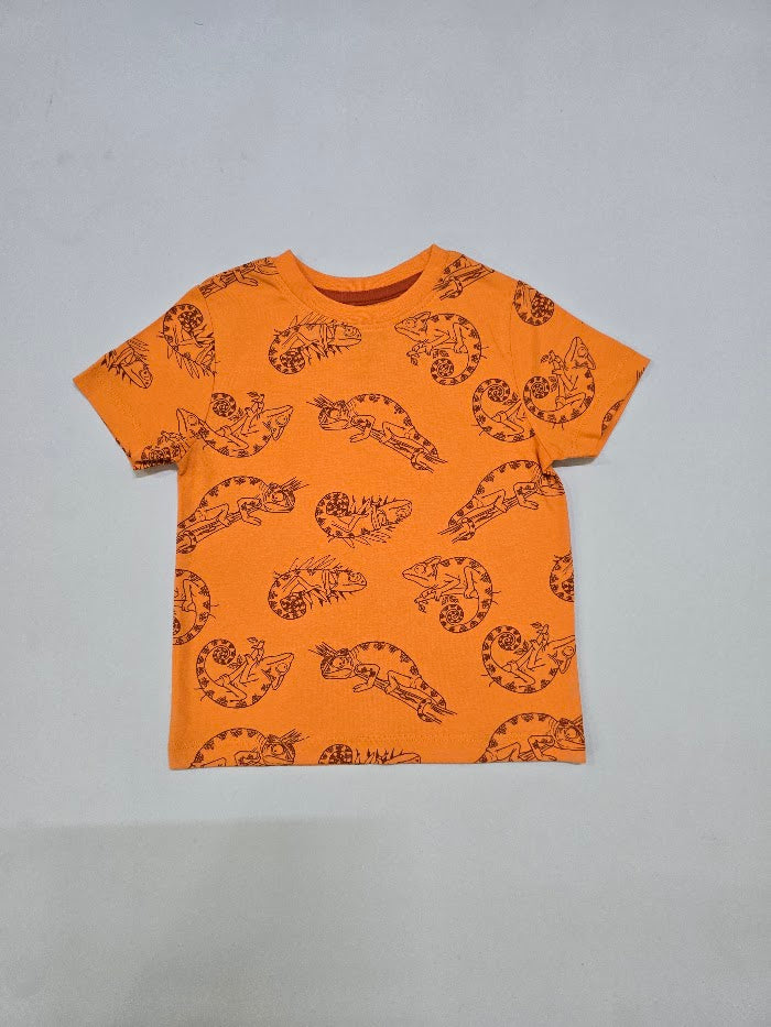Boy's t-shirt