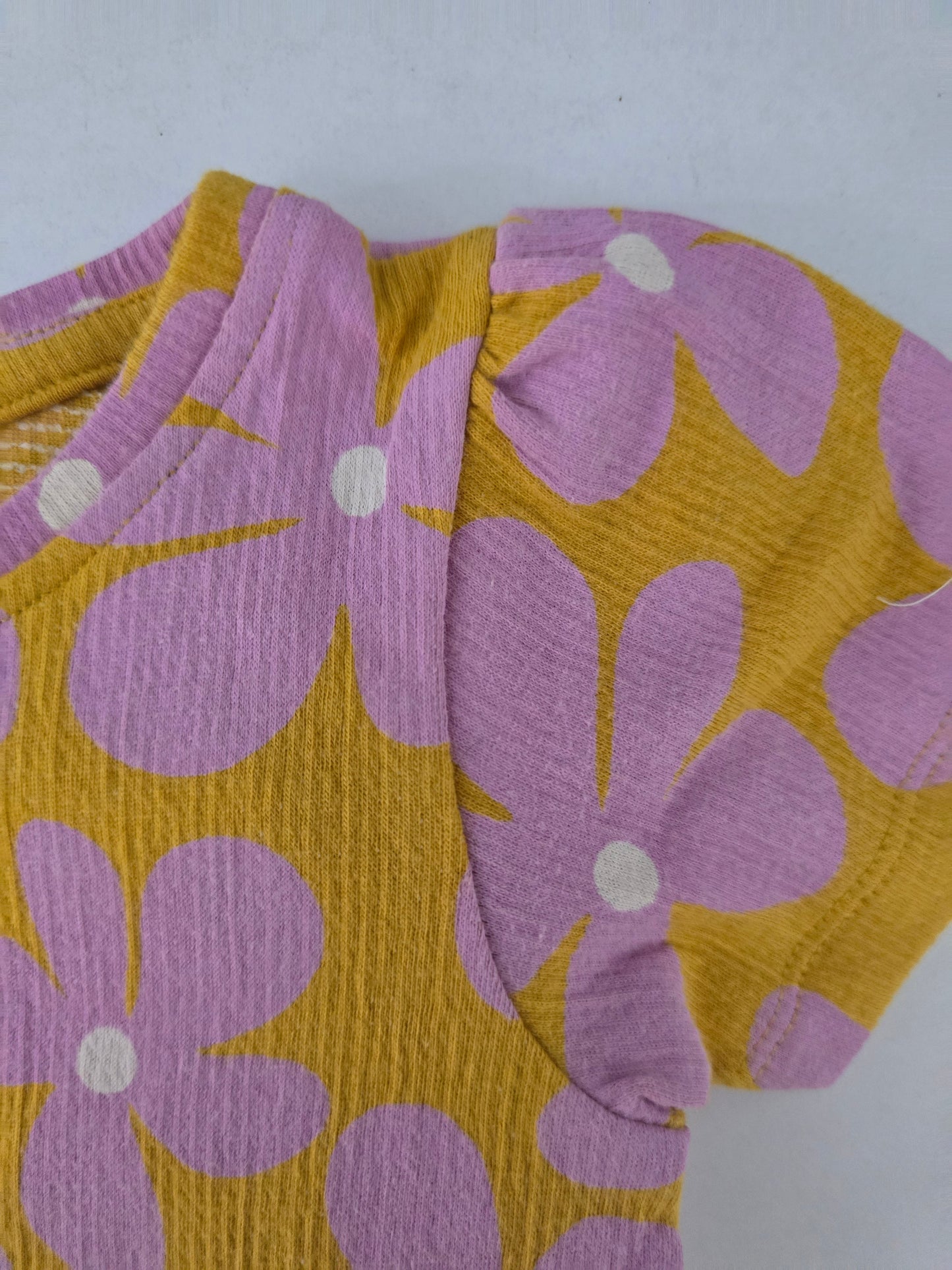 Baby girl's pant set - lavyel buds