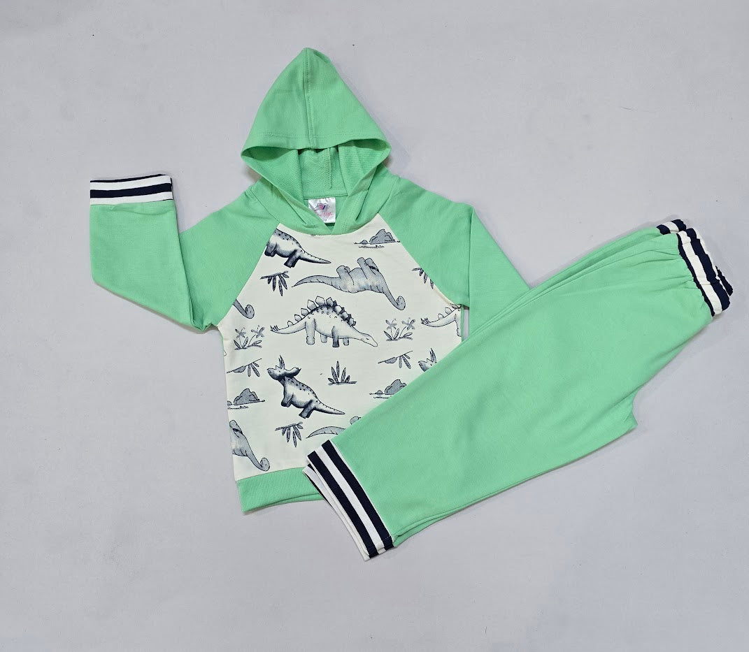 Baby's winter special hoody pant set