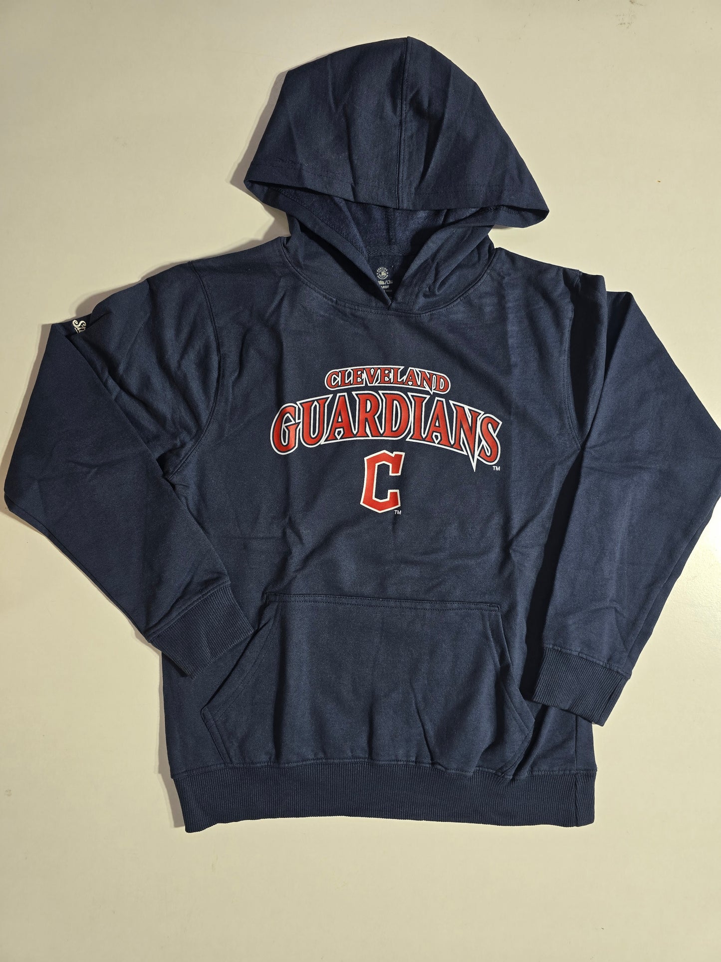 Men's hoodie - guardian