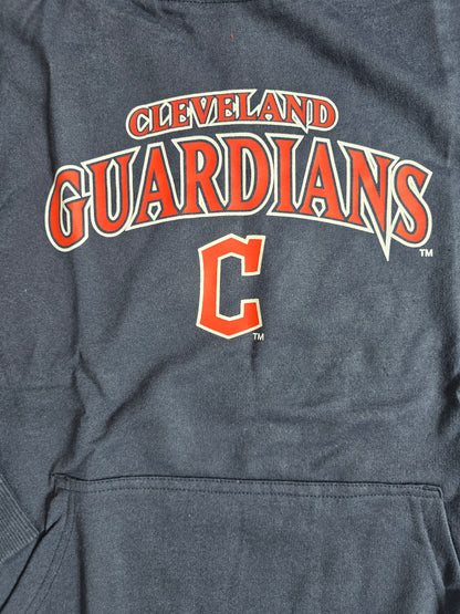 Men's hoodie - guardian