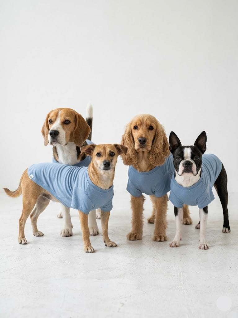 t-shirt for Dogs - blue