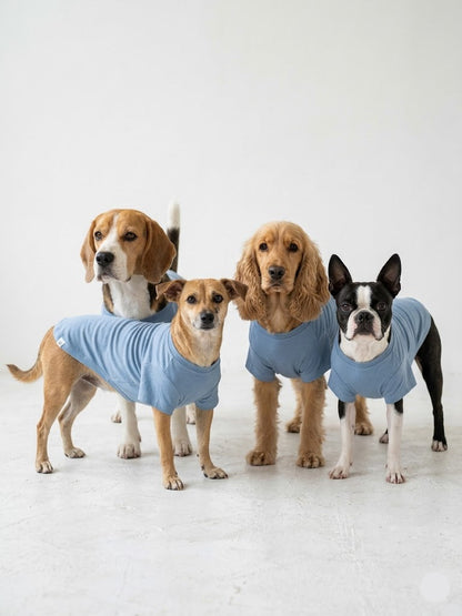 t-shirt for Dogs - blue