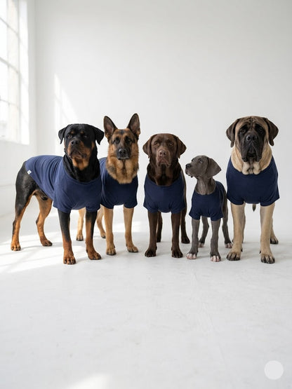 t-shirt for Dogs - nevy
